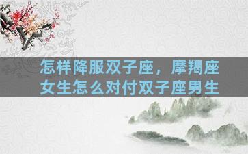怎样降服双子座，摩羯座女生怎么对付双子座男生