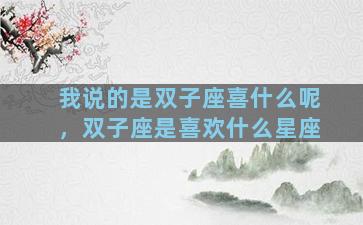 我说的是双子座喜什么呢，双子座是喜欢什么星座