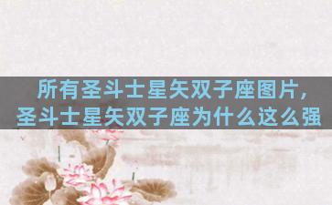 所有圣斗士星矢双子座图片,圣斗士星矢双子座为什么这么强