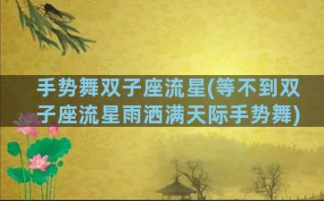 手势舞双子座流星(等不到双子座流星雨洒满天际手势舞)