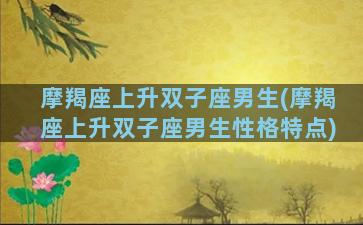 摩羯座上升双子座男生(摩羯座上升双子座男生性格特点)
