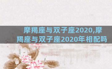 摩羯座与双子座2020,摩羯座与双子座2020年相配吗