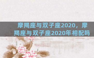 摩羯座与双子座2020，摩羯座与双子座2020年相配吗