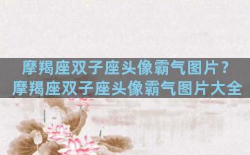 摩羯座双子座头像霸气图片？摩羯座双子座头像霸气图片大全