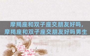 摩羯座和双子座交朋友好吗,摩羯座和双子座交朋友好吗男生