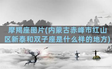 摩羯座图片(内蒙古赤峰市红山区新泰和双子座是什么样的地方)