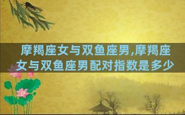 摩羯座女与双鱼座男,摩羯座女与双鱼座男配对指数是多少