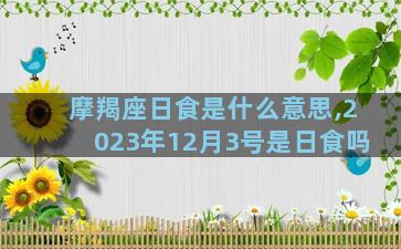 摩羯座日食是什么意思,2023年12月3号是日食吗