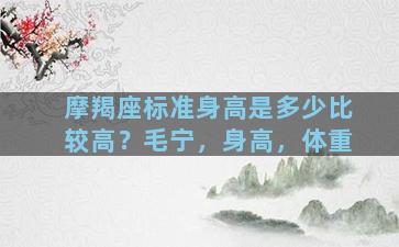 摩羯座标准身高是多少比较高？毛宁，身高，体重