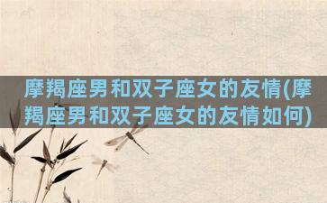 摩羯座男和双子座女的友情(摩羯座男和双子座女的友情如何)