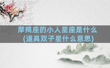 摩羯座的小人星座是什么(道具双子星什么意思)