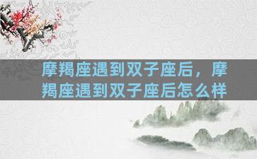 摩羯座遇到双子座后，摩羯座遇到双子座后怎么样