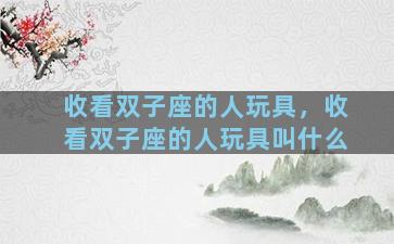 收看双子座的人玩具，收看双子座的人玩具叫什么