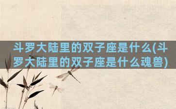 斗罗大陆里的双子座是什么(斗罗大陆里的双子座是什么魂兽)