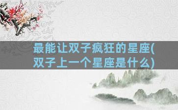 最能让双子疯狂的星座(双子上一个星座是什么)