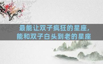 最能让双子疯狂的星座,能和双子白头到老的星座