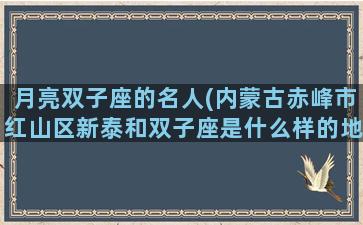 月亮双子座的名人(内蒙古赤峰市红山区新泰和双子座是什么样的地方)