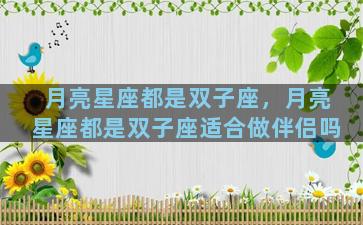 月亮星座都是双子座，月亮星座都是双子座适合做伴侣吗