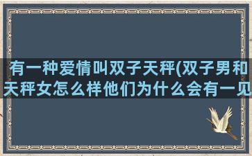 有一种爱情叫双子天秤(双子男和天秤女怎么样他们为什么会有一见如故的感觉)
