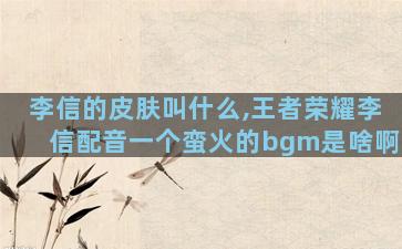 李信的皮肤叫什么,王者荣耀李信配音一个蛮火的bgm是啥啊