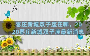 枣庄新城双子座在哪，2020枣庄新城双子座最新消息