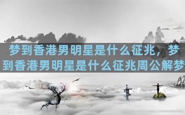 梦到香港男明星是什么征兆，梦到香港男明星是什么征兆周公解梦