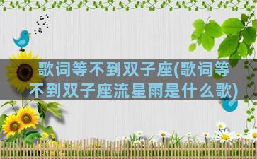 歌词等不到双子座(歌词等不到双子座流星雨是什么歌)