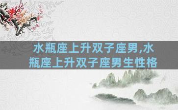 水瓶座上升双子座男,水瓶座上升双子座男生性格