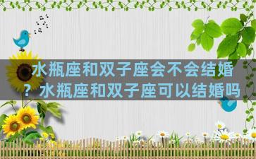 水瓶座和双子座会不会结婚？水瓶座和双子座可以结婚吗