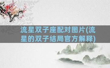 流星双子座配对图片(流星的双子结局官方解释)