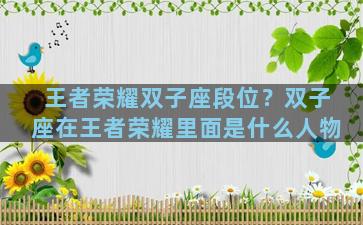 王者荣耀双子座段位？双子座在王者荣耀里面是什么人物