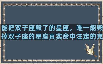 能把双子座毁了的星座，唯一能毁掉双子座的星座真实命中注定的克星