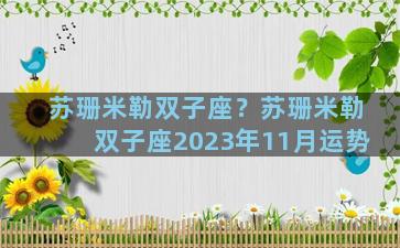 苏珊米勒双子座？苏珊米勒双子座2023年11月运势