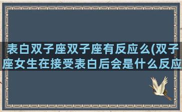 表白双子座双子座有反应么(双子座女生在接受表白后会是什么反应)