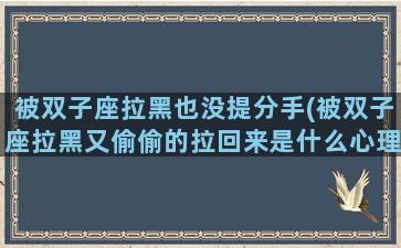 被双子座拉黑也没提分手(被双子座拉黑又偷偷的拉回来是什么心理)