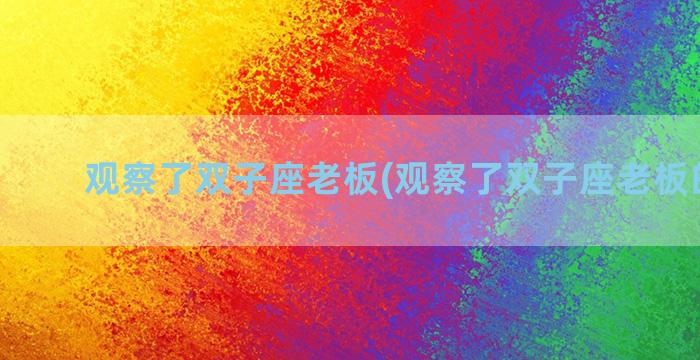 观察了双子座老板(观察了双子座老板的感受)