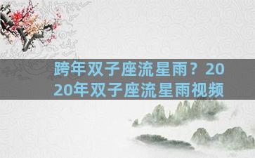 跨年双子座流星雨？2020年双子座流星雨视频
