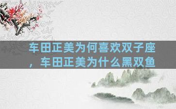 车田正美为何喜欢双子座，车田正美为什么黑双鱼