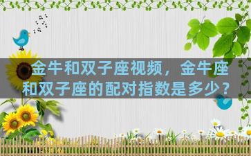 金牛和双子座视频，金牛座和双子座的配对指数是多少？