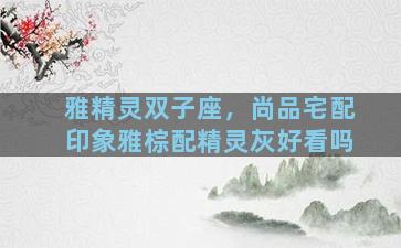 雅精灵双子座，尚品宅配印象雅棕配精灵灰好看吗