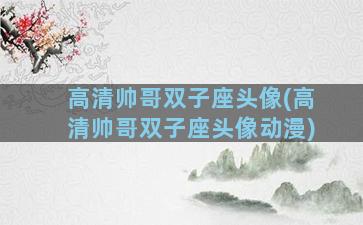 高清帅哥双子座头像(高清帅哥双子座头像动漫)