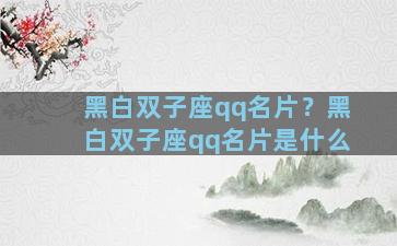 黑白双子座qq名片？黑白双子座qq名片是什么